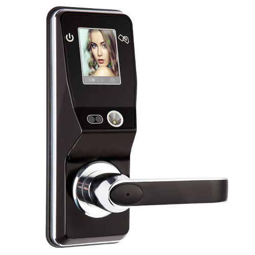 Buy Face Recognition Digital Door lock with Password Online in India