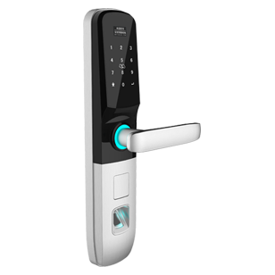 Digital Door Lock with Fingerprint + Password + Card - Silver Finish