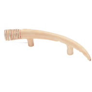 Impala Tusk Cabinet Handle in Right Ivo