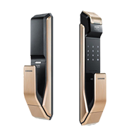 Samsung Biometric Push Pull Digital Loc