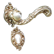 SAMARRA Door Lever Handle on rose - Mat