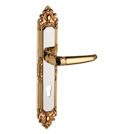 Door Lever Handle on Plate with key hol