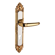 Door Lever Handle on Plate wi