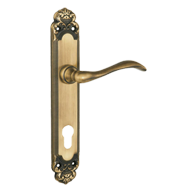 Door Lever Handle on Plate wi