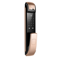 Digital Door Lock with Fingerprint + Pa