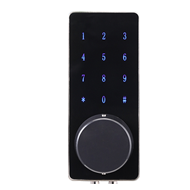Touch screen remote control smart door