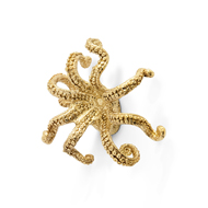 OCTO Cabinet Knob - Polished Brass Fini