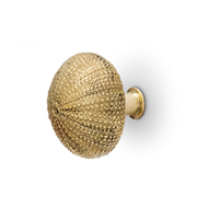 URCHIN Cabinet Knob - Size 50mm - Polis