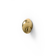 NATICA Cabinet Knob - Polished Brass Fi