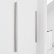 Elan Profile Cabinet Handle - Inox Look