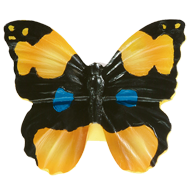 Multicolour Butterfly Knob fo