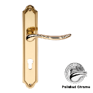 BETA Lever Door Handle on Plate - Polis