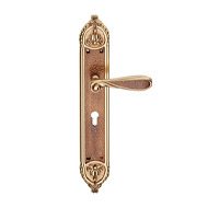 Aisha Door mortise handle on Plate - Bi