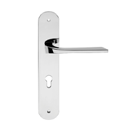 Living Door Lever Handle on Plate - Mat