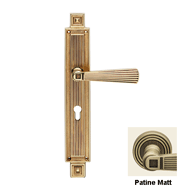 OPERA Door Lever Handle on Plate in Pat