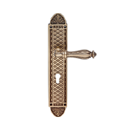 Zaara Door Lever Handle on Plate in Fre