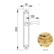 Door lever handle set on plate with key