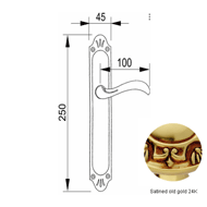Door lever handle set on plate with key