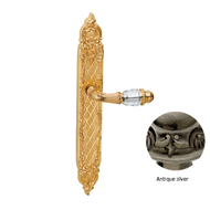Door lever handle set on plate with Swa