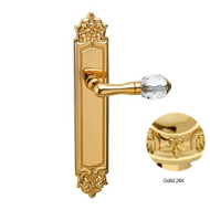 Door lever handle set on plate with Swa