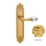Door lever handle set on plate with Swa