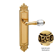Door lever handle set on plate with Swa