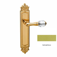 Door lever handle set on plate with Swa