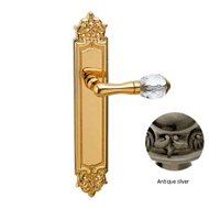 Door lever handle set on plate with Swa