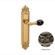 Door lever handle set on plate with Bla