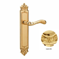 Door lever handles set on plates - Gold