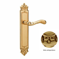 Door handle on plate 53x300mm with yale