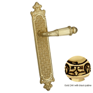 Door lever handle set on plate with key
