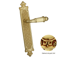Door lever handle set on plate with key