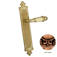 Door lever handle set on plate with key