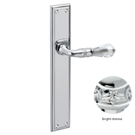 Door lever handles set on plates with S