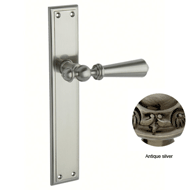 Door lever handles set on plates - Anti