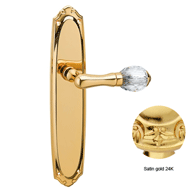Door lever handle set on plate with Swa