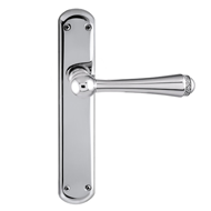 Door lever handles set on plates with S