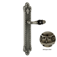 Door lever handle set on plate with Swa