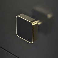 CUOIO Home Crystal Door Knob - black/ch