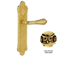 Door Lever handle on plate with yale ke