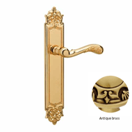Door handle on plate 53x300mm with yale