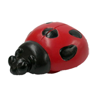 Colourful Lady bird Cabinet Knob